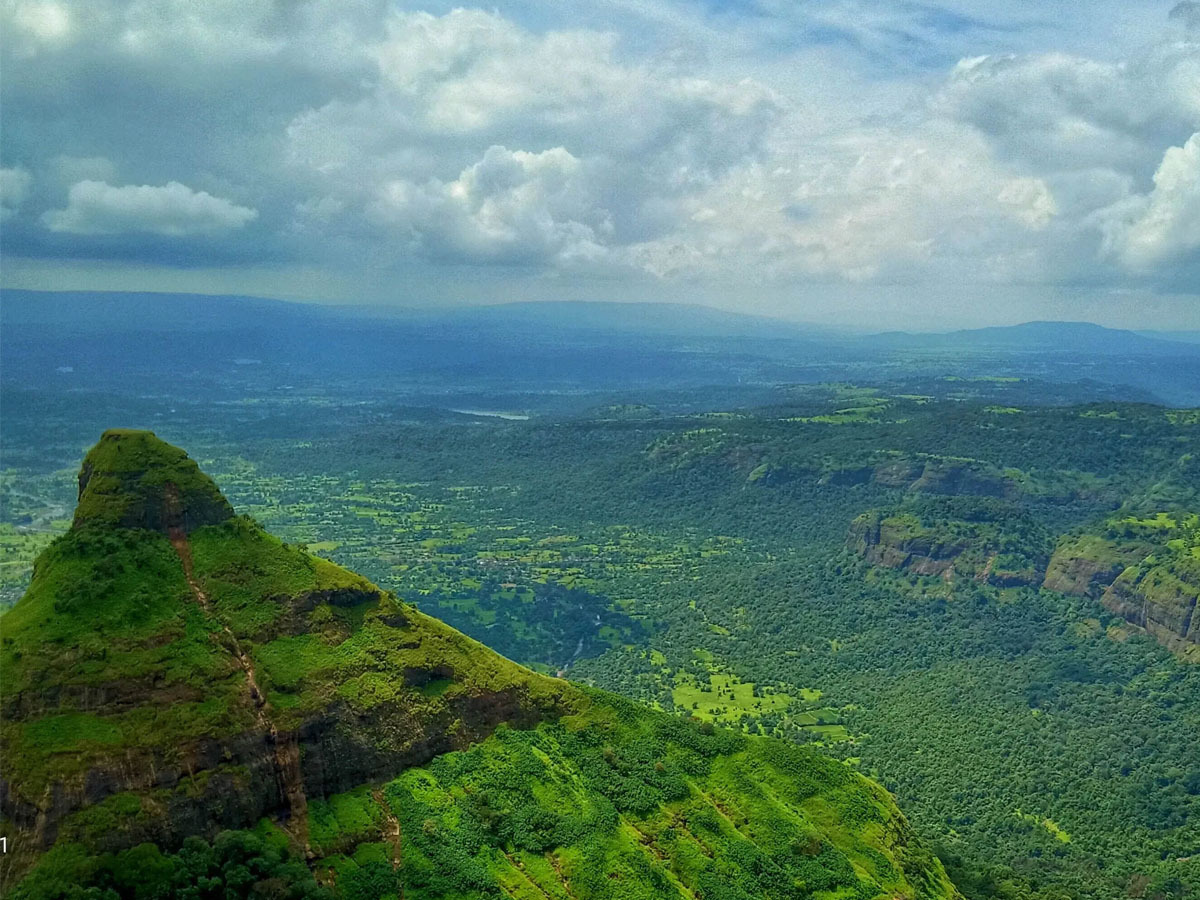 Bangalore to Sakleshpur: A Scenic Hill Station Escape in the Western Ghats