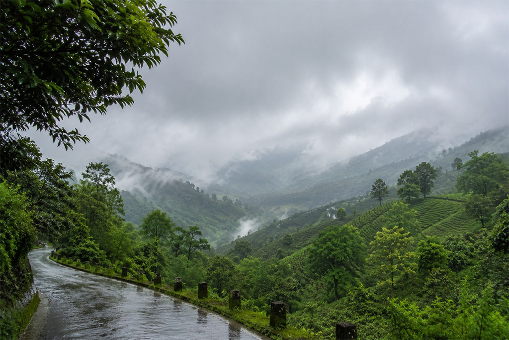Monsoon Getaway Near Bangalore: Why Sakleshpur Tops the List