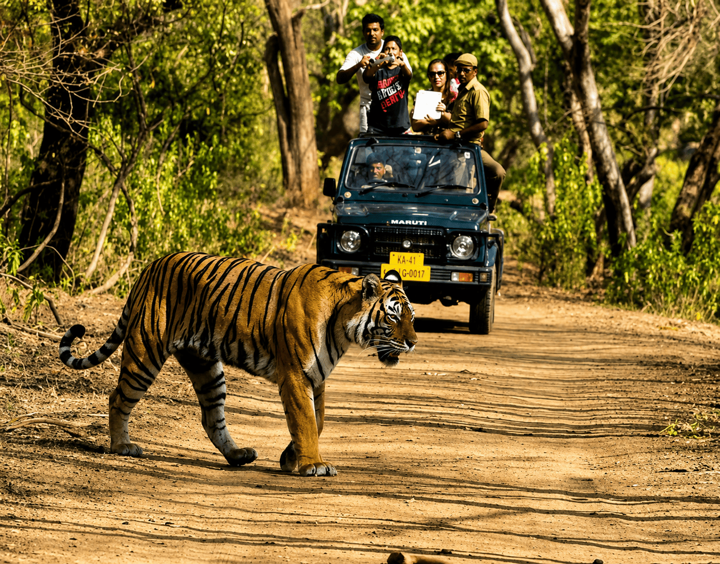 Wildlife Near Nagarhole National Park