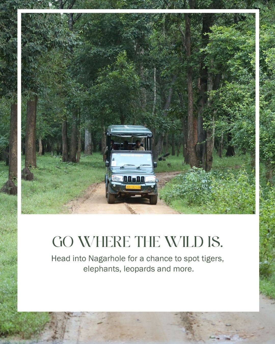 kabini resort for wildlife lovers