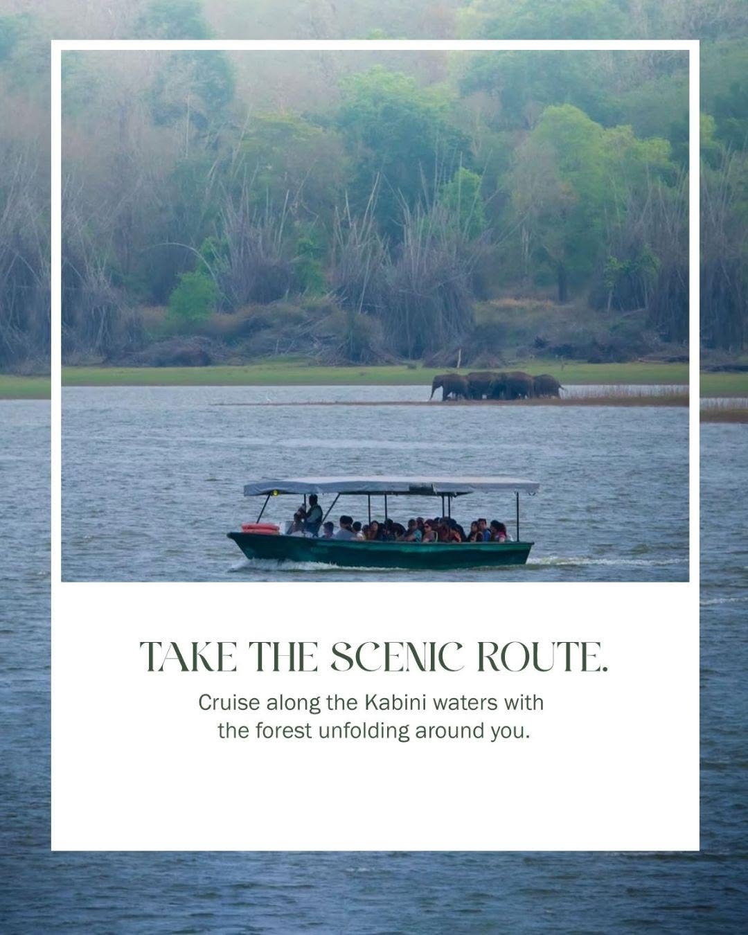 kabini resort

